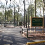 path winding through a park